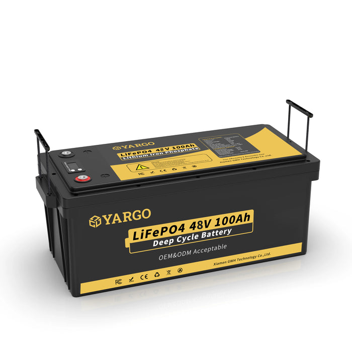 Wholesale OEM 5000 Cycle 48V 100Ah golf cart lifepo4 lithium ion battery pack 51.2v 100Ah deep cycle battery Customizable